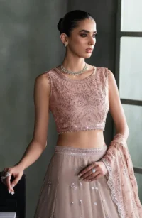 Pink Sequins Embroidered Chiffon Saree - Pakistani Bridal Wear by Sana Fashion Studio