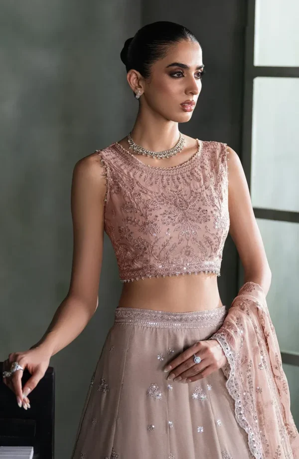 Pink Sequins Embroidered Chiffon Saree - Pakistani Bridal Wear by Sana Fashion Studio