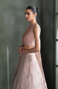 Pink Sequins Embroidered Chiffon Saree - Pakistani Bridal Wear by Sana Fashion Studio
