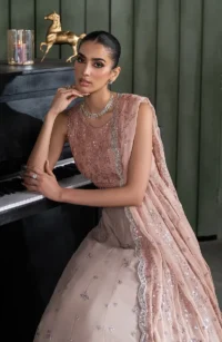 Pink Sequins Embroidered Chiffon Saree - Pakistani Bridal Wear by Sana Fashion Studio