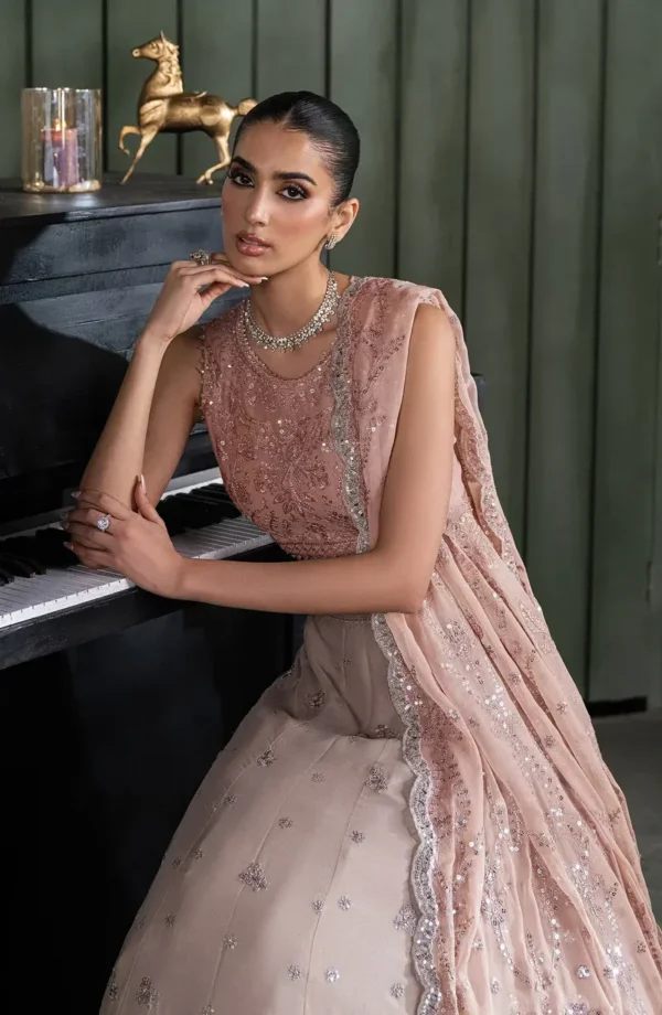 Pink Sequins Embroidered Chiffon Saree - Pakistani Bridal Wear by Sana Fashion Studio