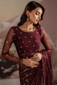 Pakistani sarees online red bridal saree net dupatta sequins lace