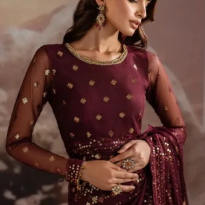 Pakistani sarees online red bridal saree net dupatta sequins lace